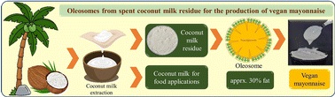 Coconut oleosomes as a sustainable ingredient for food emulsion systems Coconut oleosomes as a sustainable ingredient for food emulsion systems