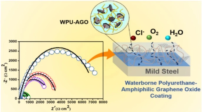 Amphiphilic polymer modification of graphene oxide (AGO) to enhance the barrier and corrosion protection properties of waterborne polyurethane coatings