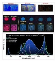Defect-induced new persistent cyan-emitting rare-earth-free phosphors for dynamic anti-counterfeiting and plant-growth LED applications