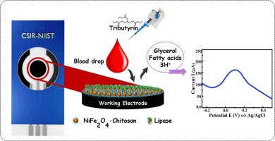 Lipase/NiFe2O4-chitosan modified paper-based printed electrochemical sensor for the accurate detection of tributyrin