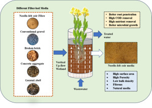 Comparative evaluation of needle-felt coir fibre with conventional media in treatment wetlands