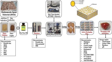 Cellulose and lignin nanoparticles from an Ayurvedic waste stream for essential oil-based active packaging to extend shelf life of strawberries