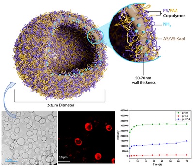 Self-Assembled Designer Polymersomes of In Situ Hybrid Nanocomposites from Copolymers of Polystyrene and Poly (Acrylic Acid) with Functionalized-Kaolinite for pH-Induced Delivery.