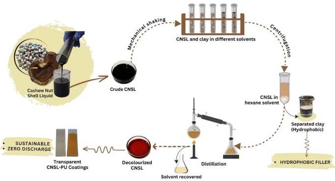 Decolorization of cashew nut shell liquid (CNSL) using kaolin clay: a facile refinement strategy for a sustainable bio-based resource