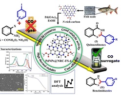 Efficient and green: biowaste-derived N-rich carbon for palladium-catalyzed CO gas-free carbonylative annulation with DFT insights
