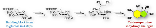 Synthesis of 2-hydroxy analogues of castanospermine, 1-epi-castanospermine and their iminooctitols from sugar-derived lactam