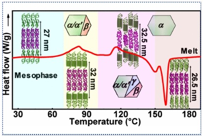 Formation of Metastable Structures during Confined Crystallization of Poly(l-lactide) in Poly(isoprene-b-l-lactide) Diblock Copolymer and Their Influence on Phase-Separated Morphology