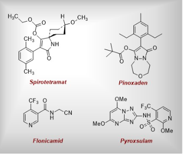 Process Development of Specialty Chemicals2