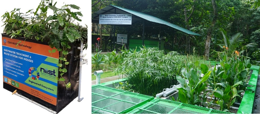 Greywater treatment system