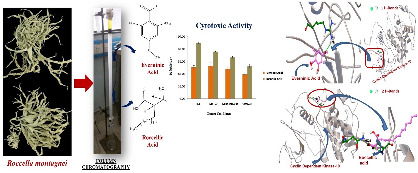 res Bio-assay