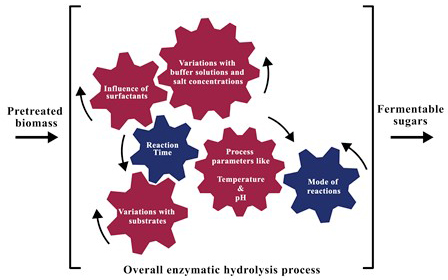 res hydrolysis