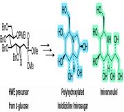 Synthetic strategy for polyhydroxylated indolizidine iminosugar from sugar-derived HWE precursor