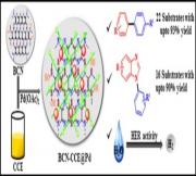 Palladium nanoparticle immobilized on coconut coir extract coated boron carbon nitride: A green and sustainable nanocatalyst for cross-coupling reactions and HER studies