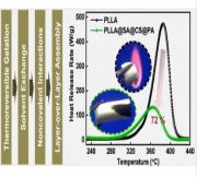 Layer-over-Layer Electrostatic Self-Assembly of Bioresourced Compounds in Thermoreversible Polylactide Gels as an Effective Approach to Enhance the Flame Retardancy of Aerogels