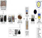 Lignin nanoparticles from Ayurvedic industry spent materials: Applications in Pickering emulsions for curcumin and vitamin D3 encapsulation