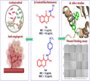 Dual-acting β-Aminothiochromones: Design, synthesis, and evaluation as antimicrobial and anti-angiogenic agents