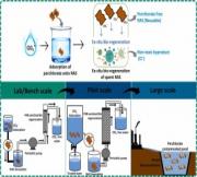 Development of a scalable adsorptive bioremediation approach for perchlorate decontamination in water resources: A step towards process safety and circularity