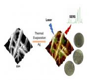 Silver-coated eggshell membrane as a cost-effective SERS platform for enhanced molecular sensing