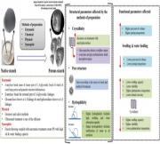 The art and science of porous starch: understanding the preparation method and structure–function relationship