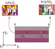 Magnetic and electric polar regions in the magnetoelectric composite microstructure