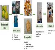 Valorization of mosambi peels: comparative analysis of dehumidified and freeze-drying for essential oil extraction