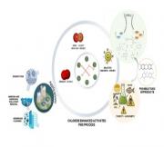 From scavenger to catalyst: the emerging role of chloride in peroxymonosulfate-based advanced oxidation processes