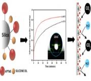 CO2 Adsorption Studies of Hydrophobic Silica Sorbent Functionalized with Silicone Oil-Amine Blends under Low-Temperature Conditions