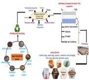 Biodegradable products from renewable sources: impact on replacing single-use plastic for protecting the environment