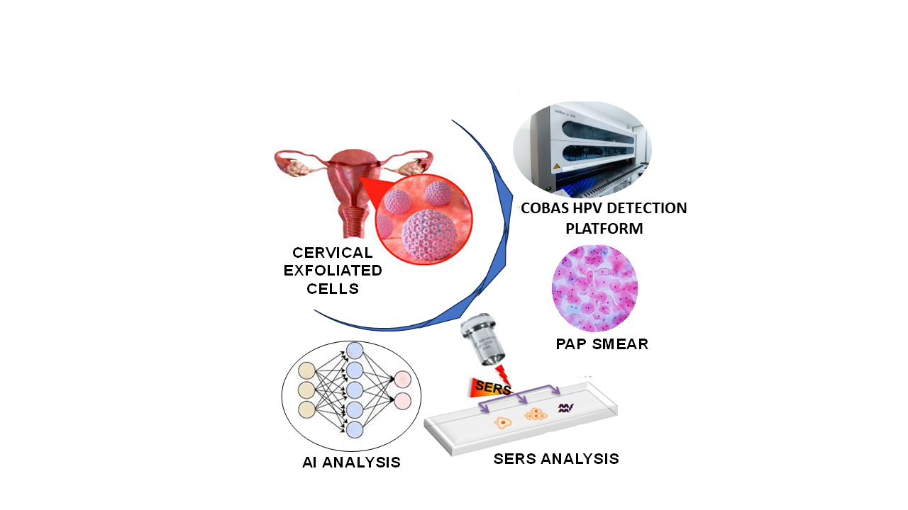 Technology for Early Cancer Diagnosis Employing Raman Spectroscopy and Artificial Intelligence Technology for Early Cancer Diagnosis Employing Raman Spectroscopy and Artificial Intelligence