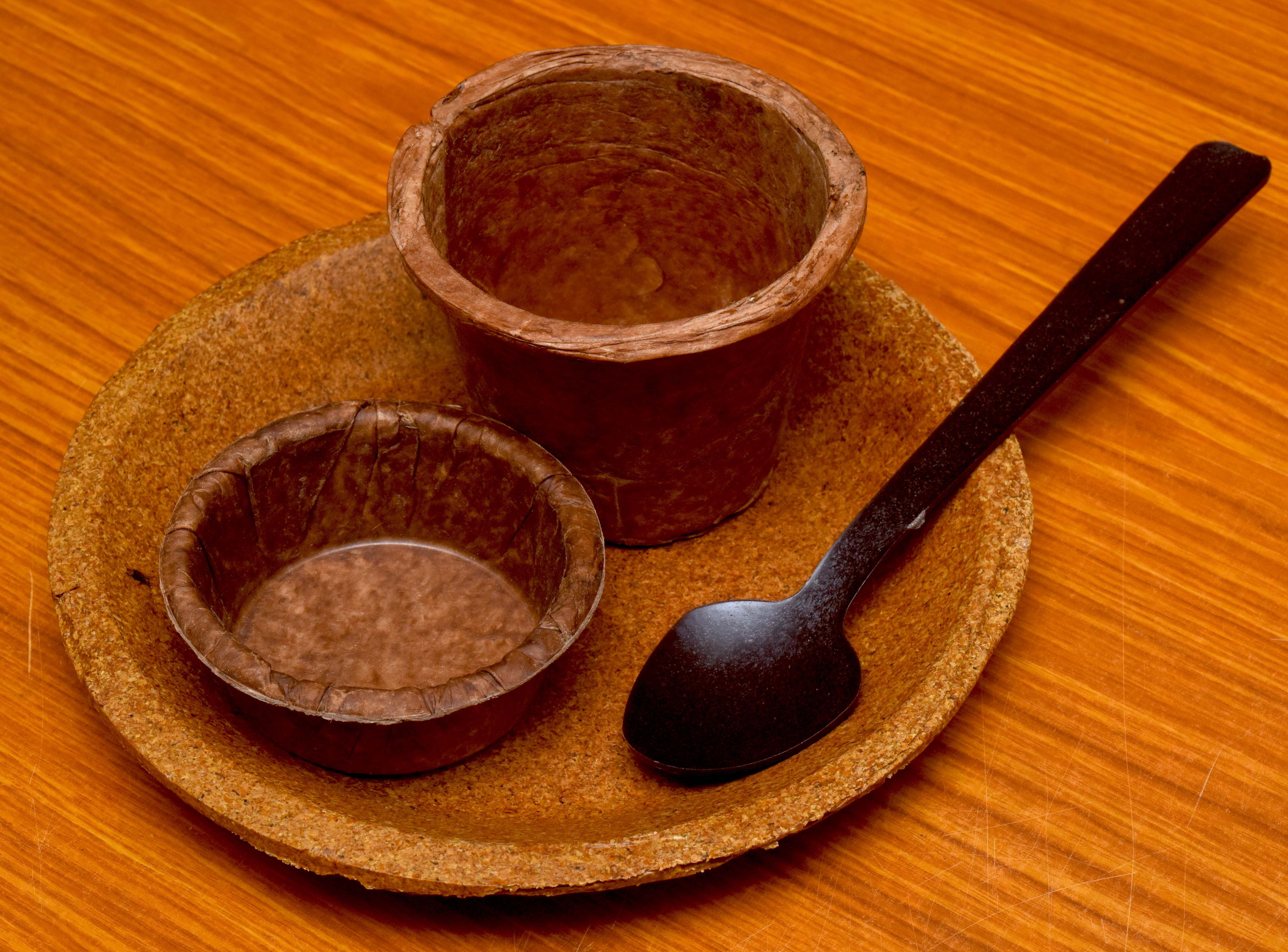 Biodegradable Tableware