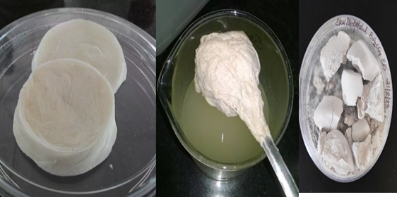 Exopolysaccharides for Food Grade Application Exopolysaccharides for Food Grade Application
